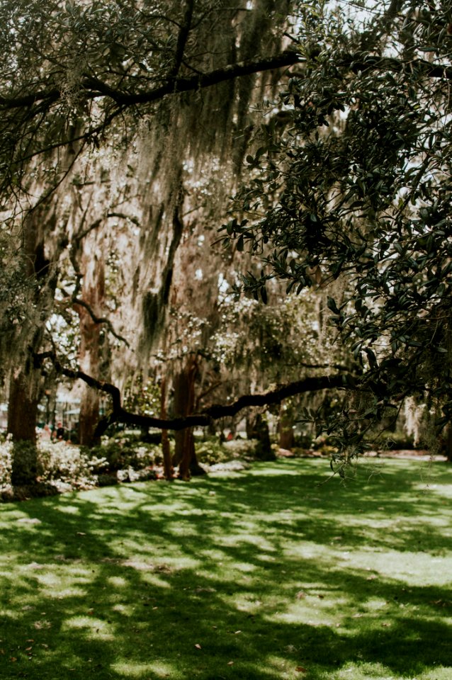 Forsyth park, Savannah, United states