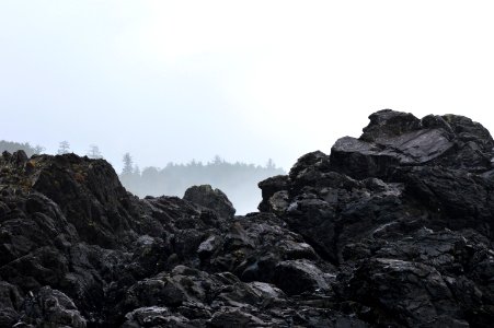 Foggy, Nature