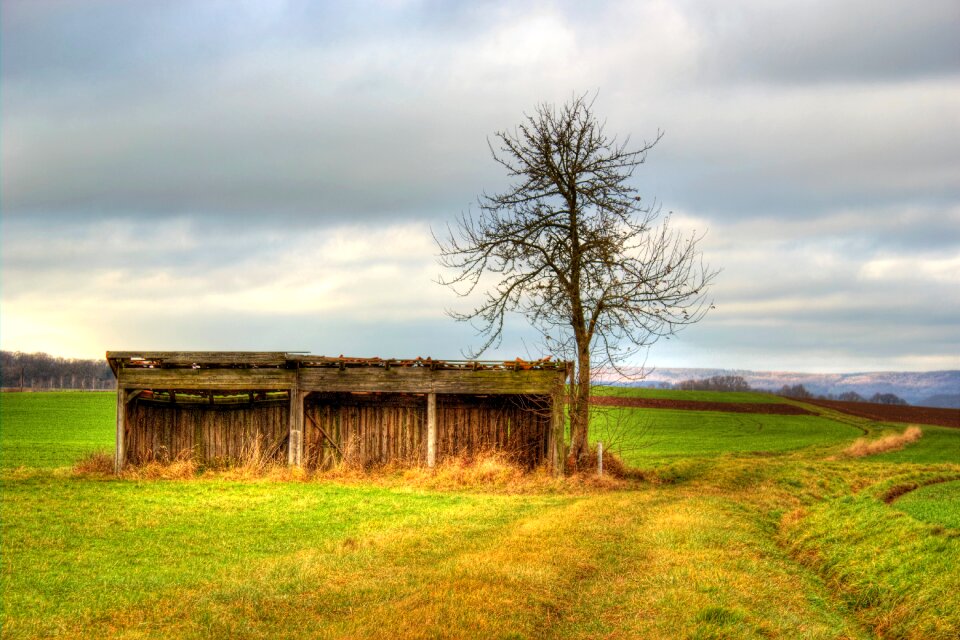 Green nature landscape