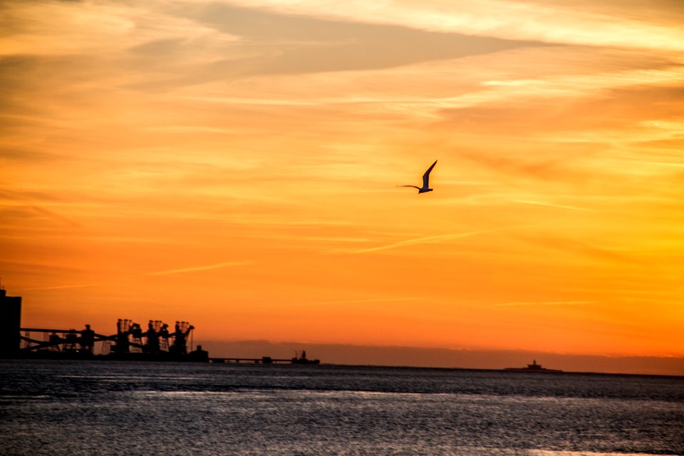 Orange, Ocean, Horizon