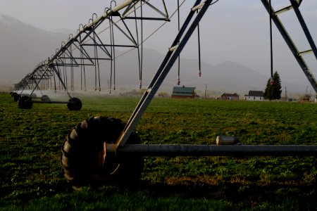 Farm, Agriculture