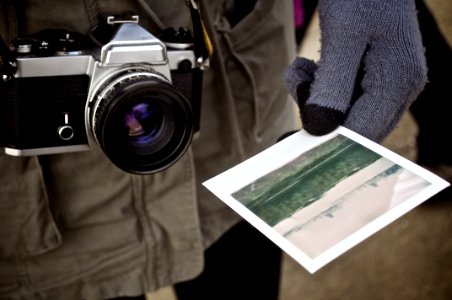 person holding photo photo