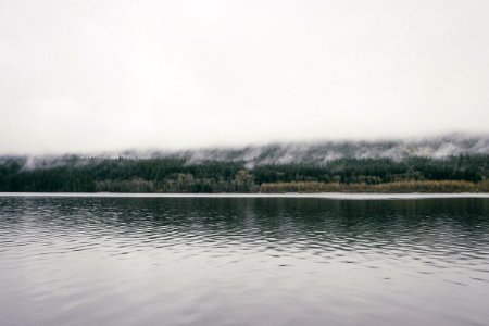 body of water near green trees under cloudy sky photo