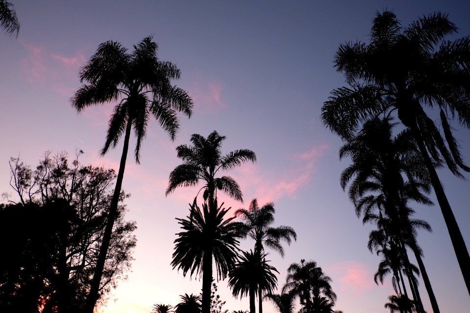 Ventura, United states, Coast