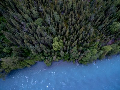 aerial photography of trees and body of water photo