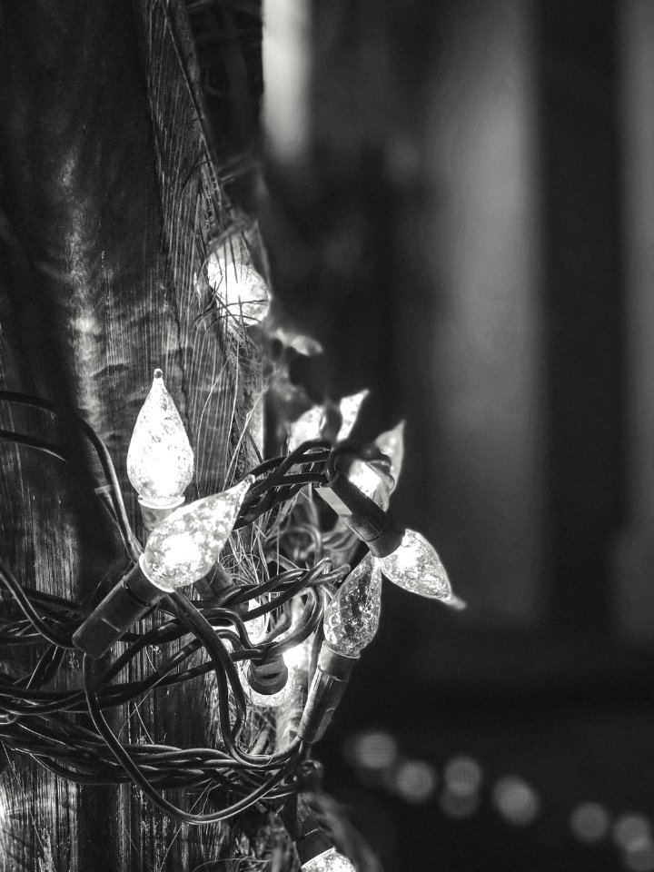 Greyscale, Happy, Christmas lights