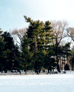 Central park, New york, United states