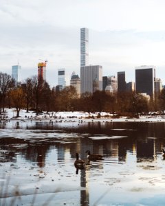 New york, Central park, United states photo