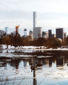 New york, Central park, United states