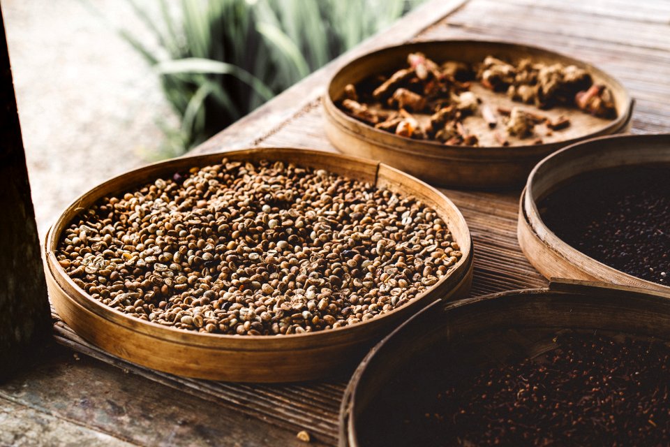 Coffee, Fresh, Plant