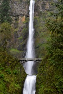 Nature, Unsplash, Oregon