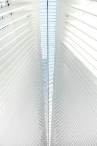 white ceiling during daytime
