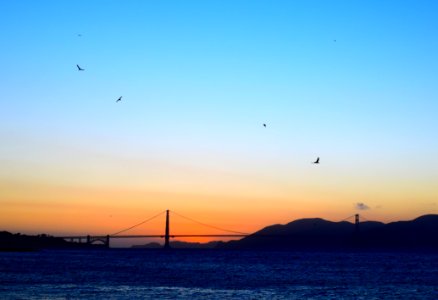 Water, Birds, Bridge photo