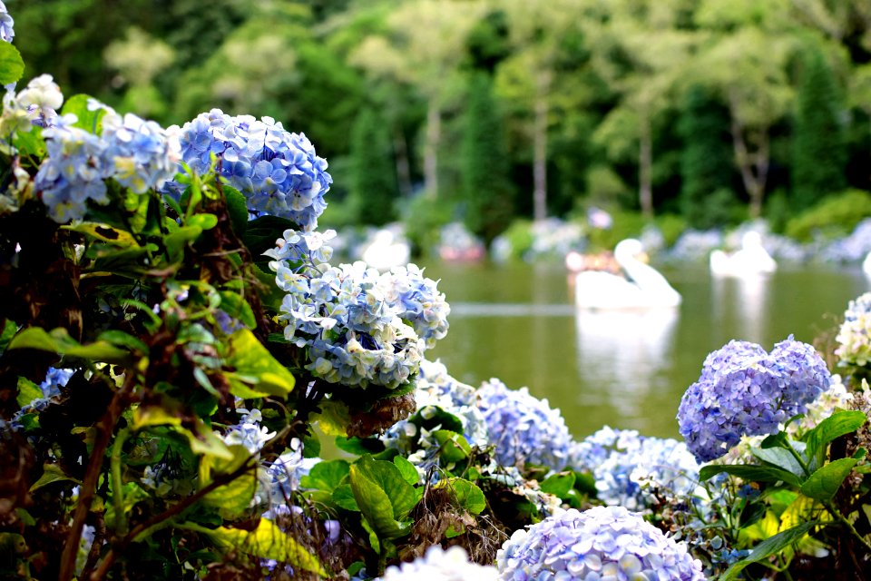 Parque do lago negro, Gramado, Brazil