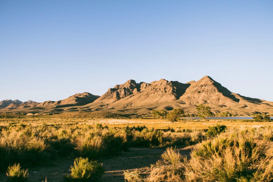 Nevada, United states, Green