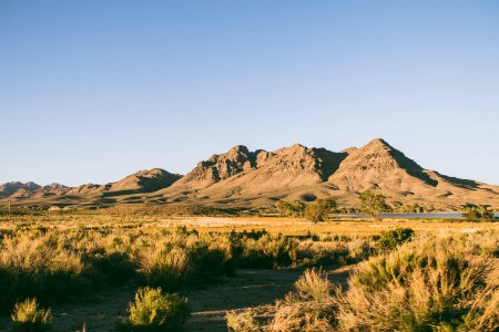 Nevada, United states, Green