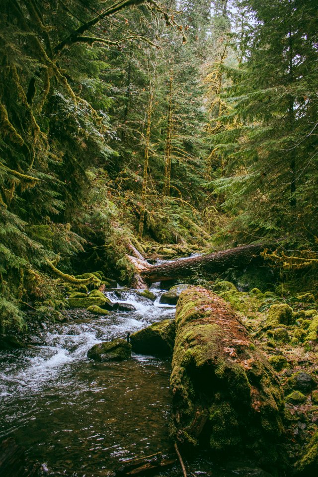 Portl, United states, Scape