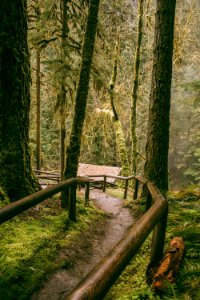 Cougar hot springs trail, United states, Walk ways photo