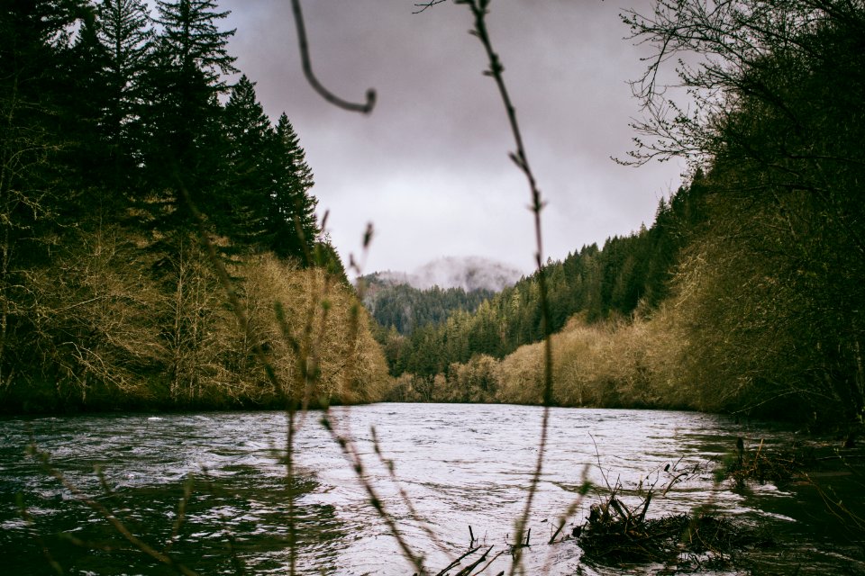 Corbett   terwilliger   lair hill, Portl, United states