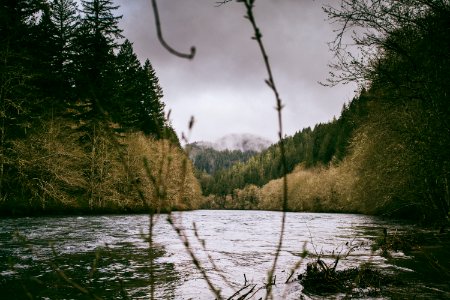 Corbett   terwilliger   lair hill, Portl, United states