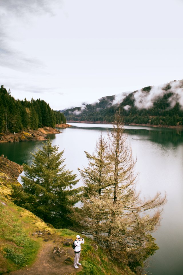 Cougar hot springs trail, United states, Fog