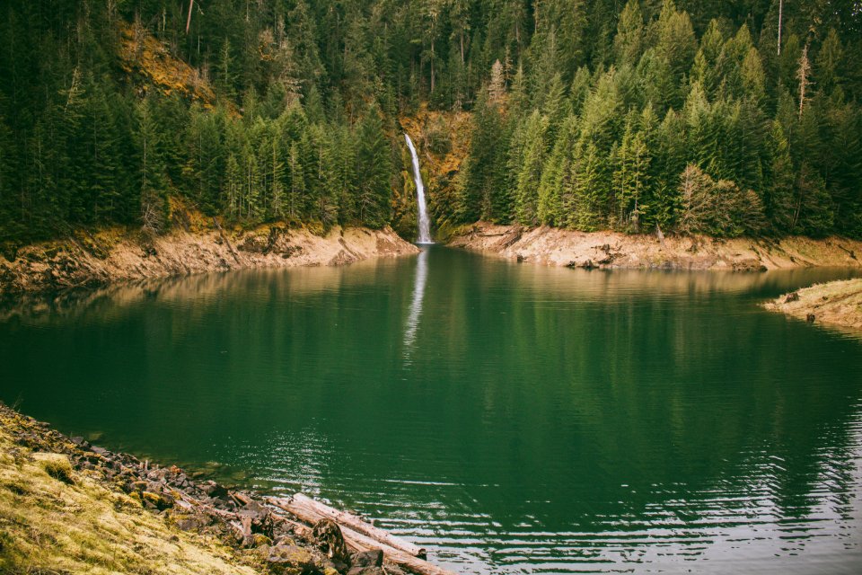 Cougar hot springs trail, United states, Green