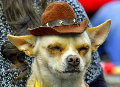 Listen funny music obsessives