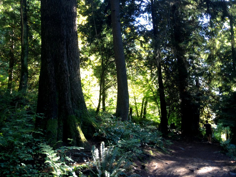 Vancouver, Canada, Nature
