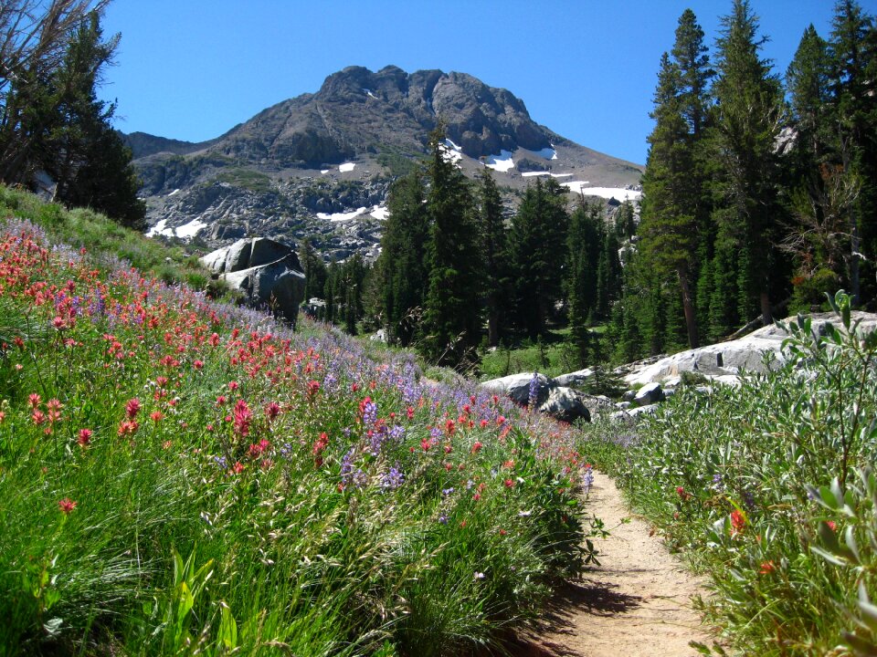 Mountain peak green mountain green lake