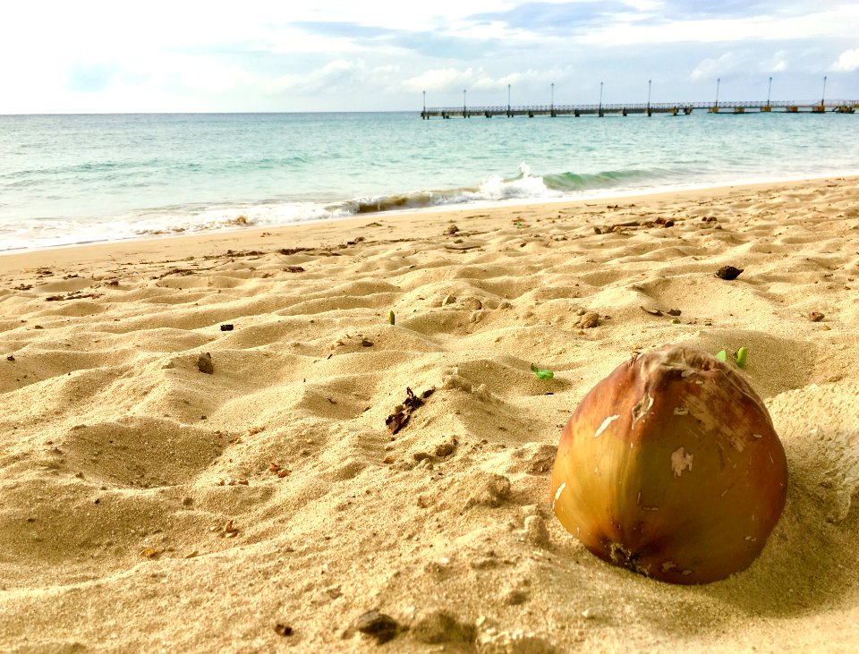 Speightstown, Barbados, Sea