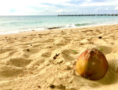Speightstown, Barbados, Sea
