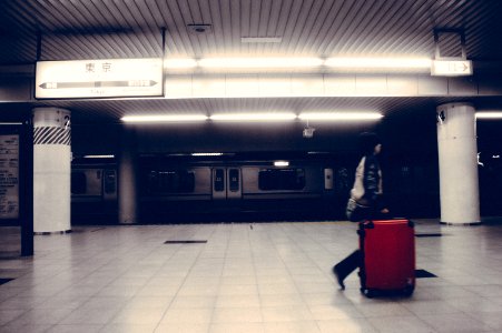 person walking with luggage bag near train inside the building photo