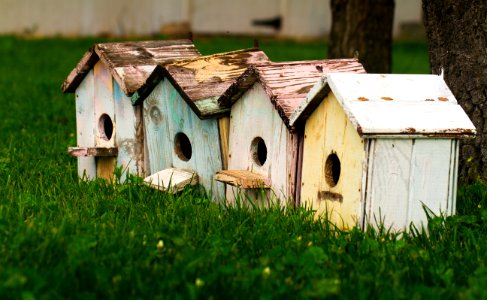 four birdhouses on grass photo