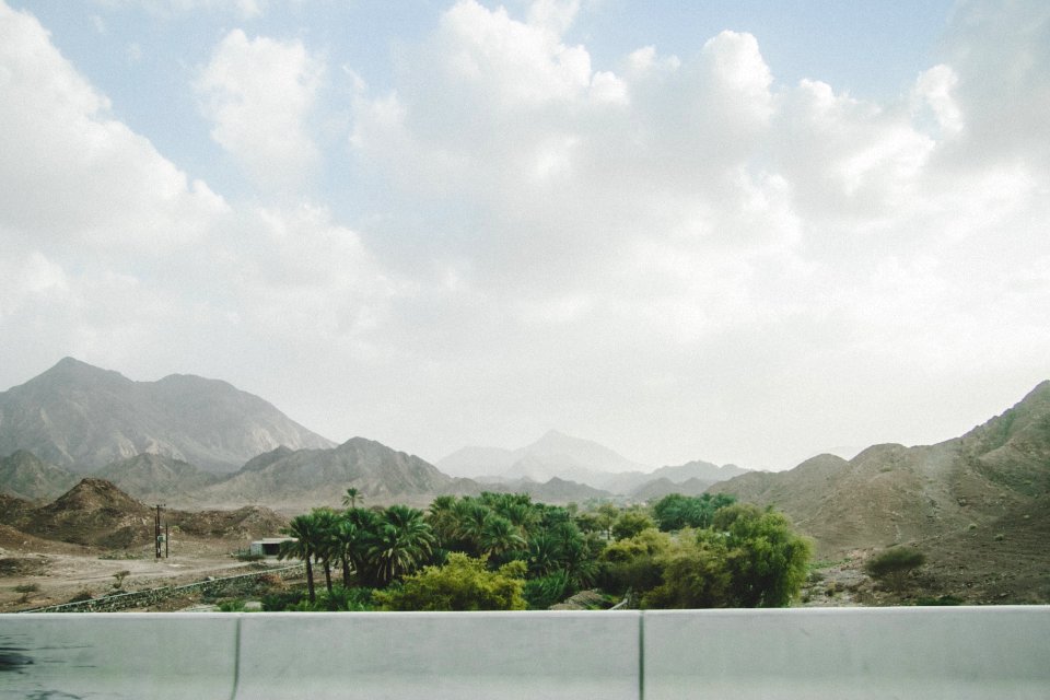 Dubai, United arab emirates, Oasis