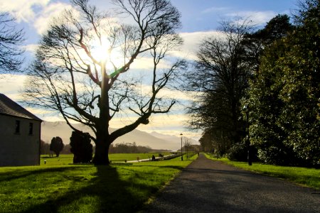 Killarney, Irel, Park