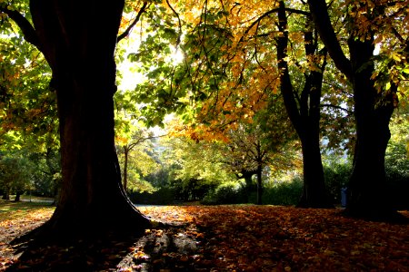 St stephens green, Dublin 2, Irel