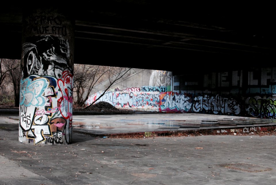 bare trees near graffiti wall