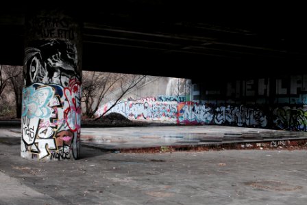 bare trees near graffiti wall