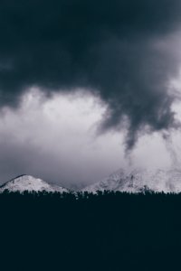 silhouette of trees near snow capped mountains photo