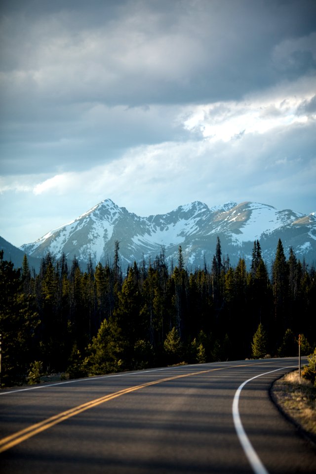 green trees beside black asphalt road