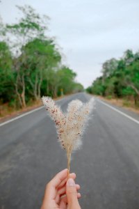 Ubon ratchathani, Thail, In thail