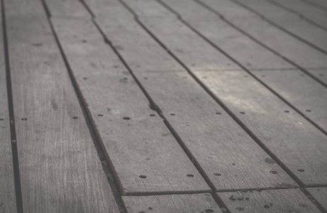 Israel, B w, Wood