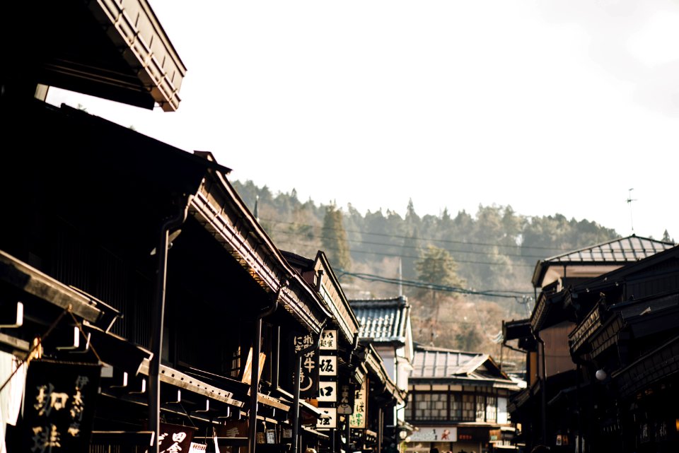 brown houses