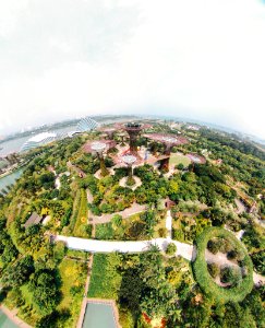 aerial view photography of Gardens by the Bay, Singapore photo