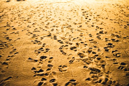 footprints on desert