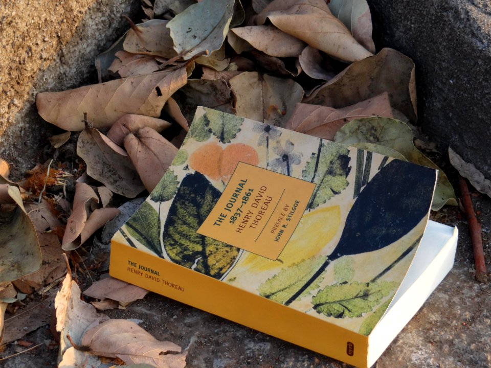 Transcendentalism, Thoreau, Nature