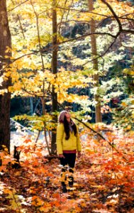 photo of woman looking up the trees photo