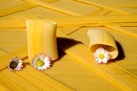 Paccheri giganti yellow food