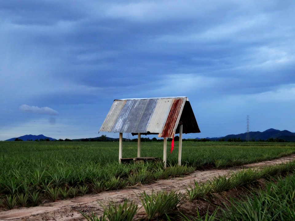 Farm