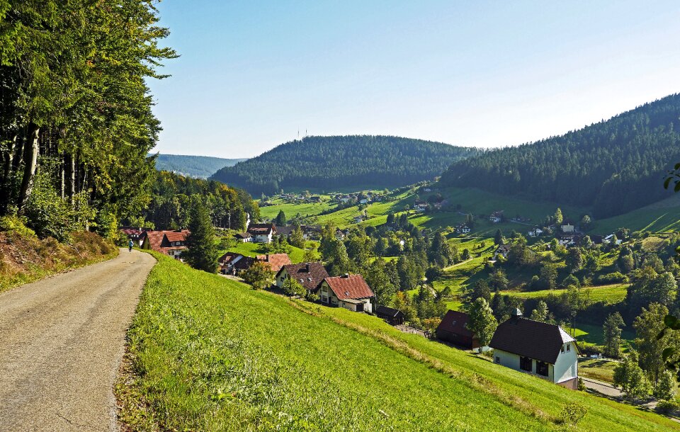 Nature black forest view